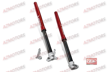 KIT FOURCHE USD -DOUBLE CART.-D48 RR 4T KIT FOURCHE USD -DOUBLE CART.-D48 RR 4T-031460028200 origine BETA 