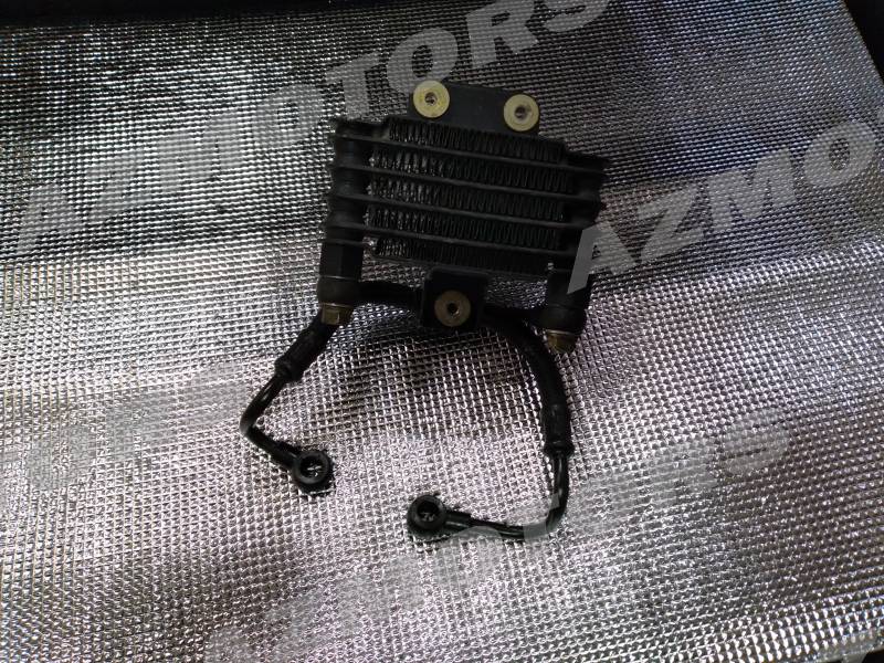 - OCCASION - RADIATEUR D HUILE EURO3 DAELIM DAYSTAR - OCCASION - RADIATEUR D HUILE EURO3 DAELIM DAYSTAR origine DAELIM DAYSTAR_CARBU