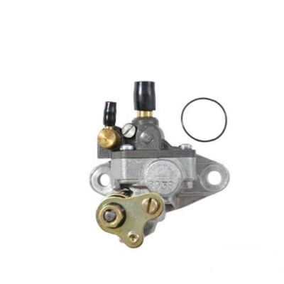 POMPE A HUILE ADAPTABLE DELLORTO AM6 PLBD38  BECG494373 - POMPE A HUILE ADAPTABLE DELLORTO AM6 PLBD38 origine AZMOTORS -DISPO