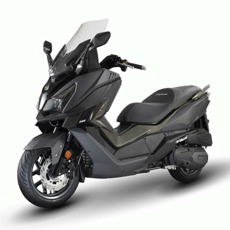 Pièces CRUISYM 300 - LV30W1Z1-EU (2019) Pièces détachées d