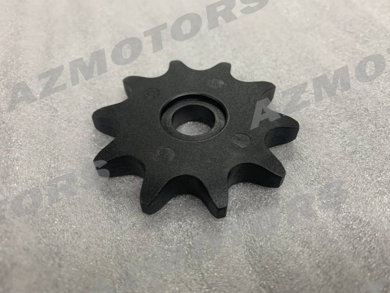 PIGNON MASAI DINLI  origine masai -DISPO