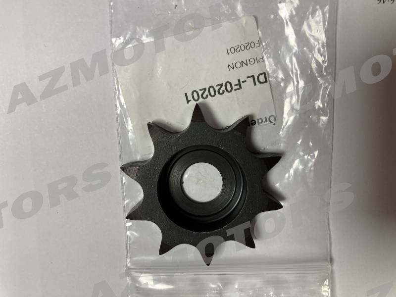 PIGNON MASAI DINLI  origine masai -DISPO