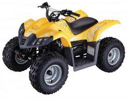 Pièces Quad DL502 Pièces Quad DL502 origine DINLI 