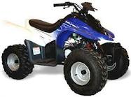 Pièces Quad DL601 50cc Pièces Quad DL601 50cc origine DINLI 