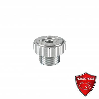 Vis de remplissage dhuile BX500 BRIXTON Vis de remplissage dhuile BX500 BRIXTON origine BRIXTON -DISPO