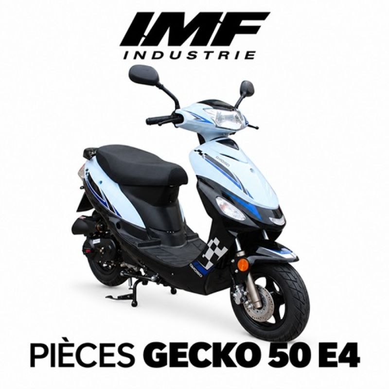 PIECES GECKO EURO 4