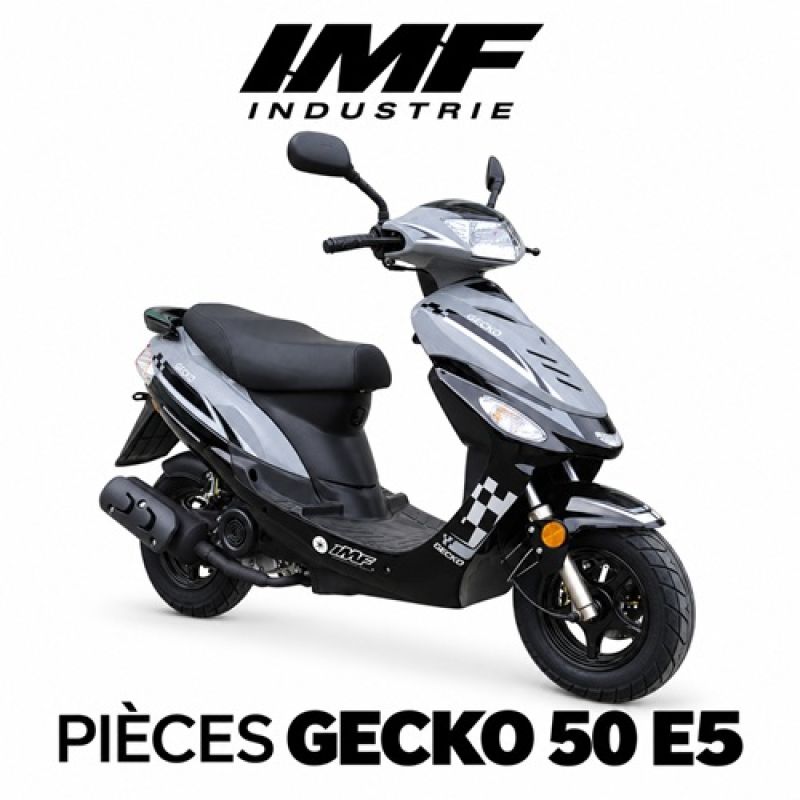 PIECES GECKO EURO 5