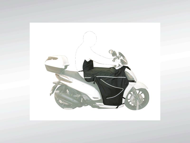 TABLIER PEOPLE GT  ( BOOMERANG ) TABLIER PEOPLE GT ( BOOMERANG )  origine KYMCO 