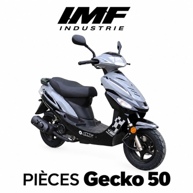 Pièces Origine GECKO 50 Pièces d