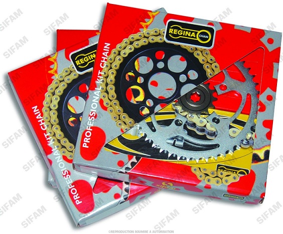 KIT CHAINE REGINA STANDARD
Gas Gas Ec 50 Rookie /Sm
info
KIT CHAINE REGINA STANDARD
Gas Gas Ec 50 Rookie /Sm