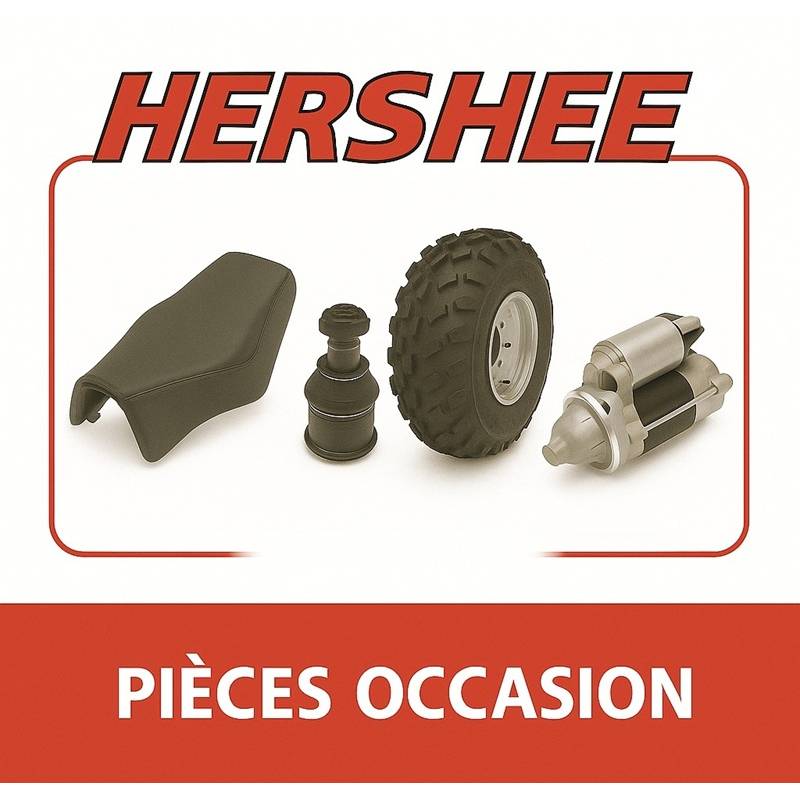 Pièces occasions BOMBARDIER 200 Rally ou HERSHEE Pièces occasions BOMBARDIER 200 Rally ou HERSHEE origine RALLY 