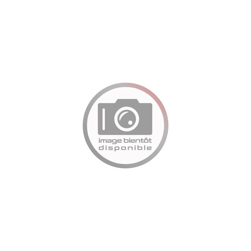 CHASSIS TGB CHASSIS AVEC CARTE GRISE (TGB 400/425) OCCASION origine TGB -DISPO