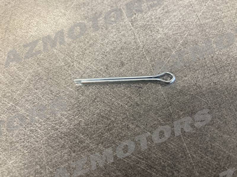 GOUPILLE  origine tgb -DISPO