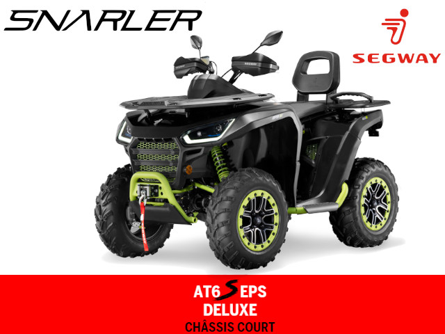 Pièces SNARLER AT6S LUXE Pièces QUAD SNARLER AT6S LUXE (CHASSIS COURT) origine SEGWAY 