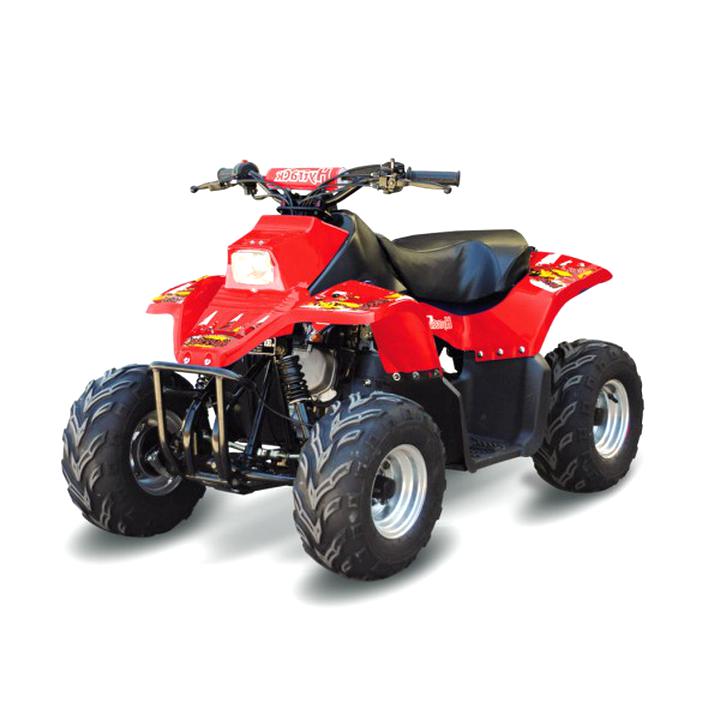 Quad HYTRACK HY50 SX ROUGE Quad HY50SX ==> ROUGE
À partir de 6 ans
- Moteur 4 temps, 49 cc
- Télécommande de sécurité
- Coupe-circuit de sécurité au poignet
Le port du casque est vivement conseillé

Toutes autres caractéristique dans "Application" origine HYTRACK 