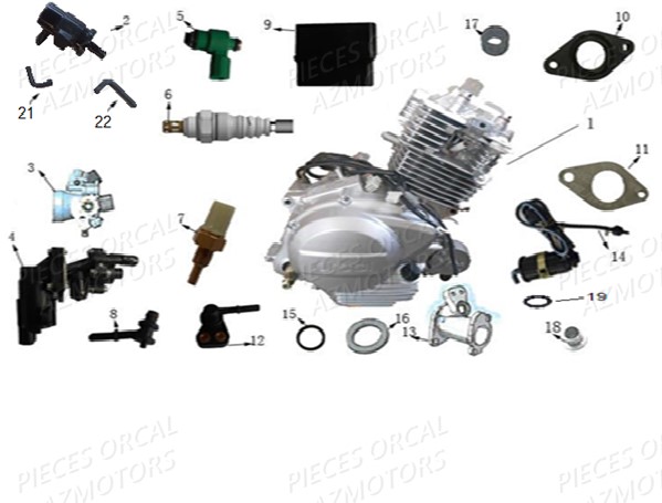 Ecu Sonde Moteur ORCAL Pièces Orcal Astor 125cc EURO4