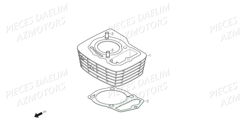 Cylindre AZMOTORS Pièces Moto DAELIM DAYSTAR 125 Euro4 (2019)
