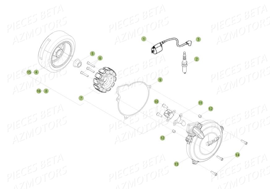 Allumage Bougie BETA Pièces BETA EVO 250 2T - (2015)