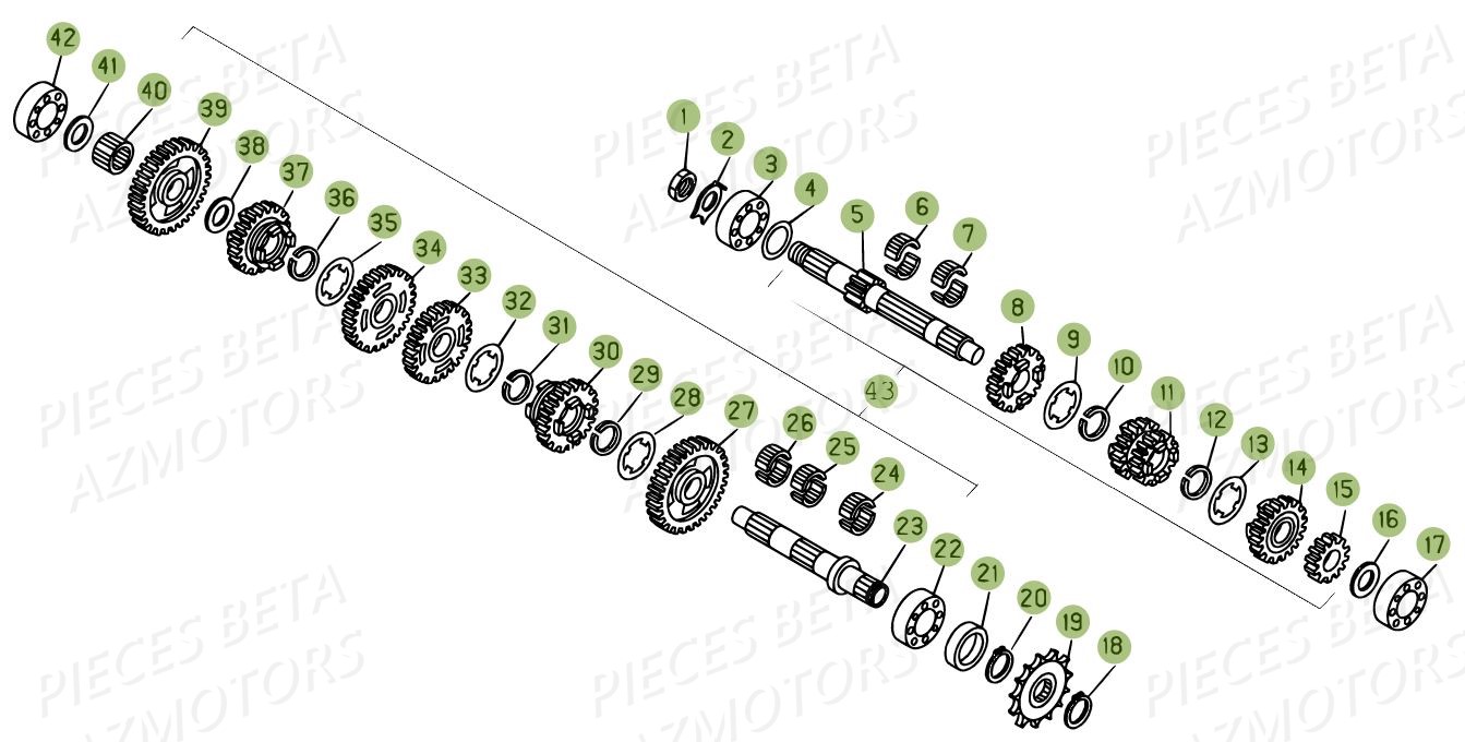 Boite A Vitesses BETA Pièces BETA EVO 250 2T - (2015)