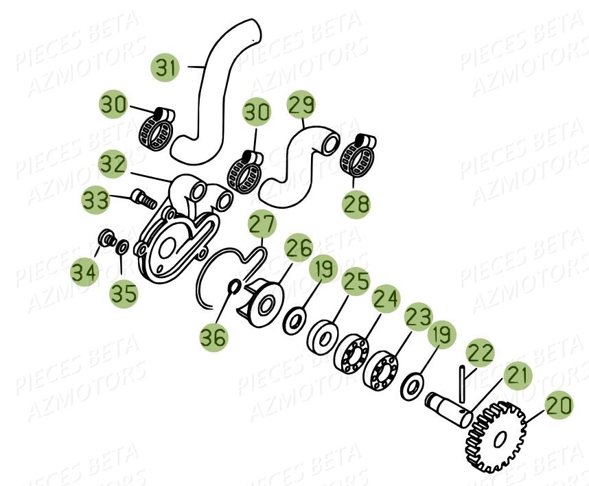 POMPE A EAU pour 250 EVO 2T 15