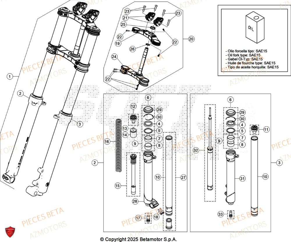 Fourche AZMOTORS Pieces BETA TRIAL EVO 300 4T FACTORY - (2025)
