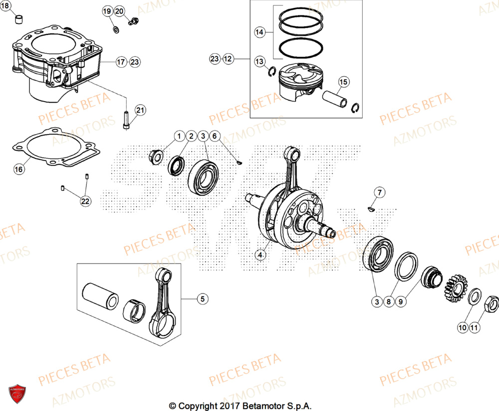 Vilebrequin AZMOTORS Pieces BETA TRIAL EVO 300 4T FACTORY - (2025)
