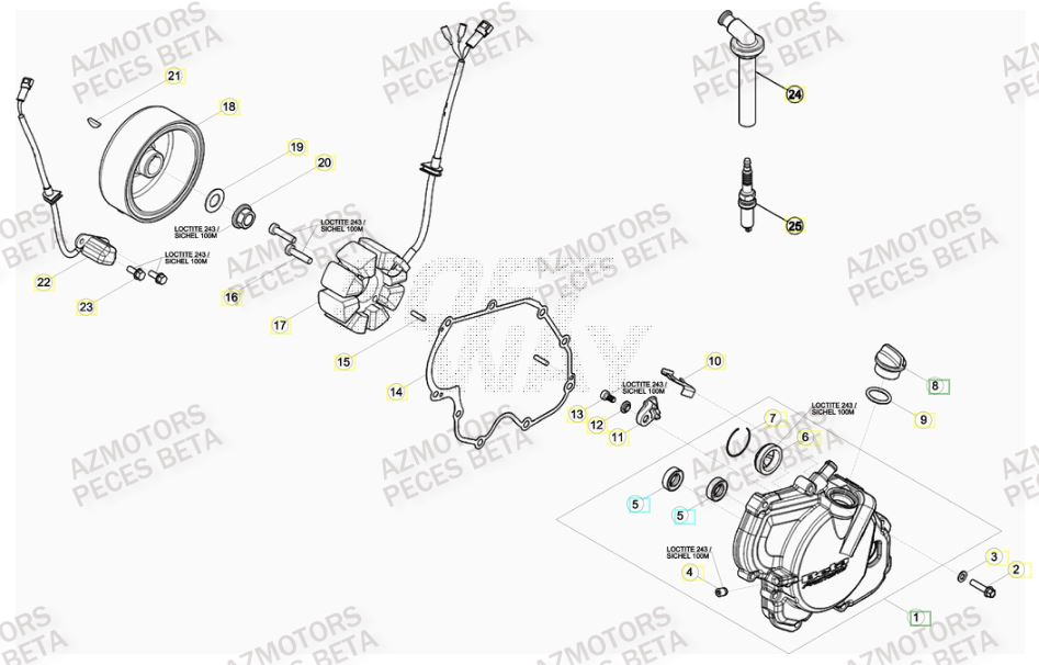 Allumage BETA Pièces BETA RR FACTORY 350cc 4T - [2012]