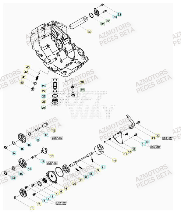 POMPE A HUILE pour 350-RR-FACTORY-12