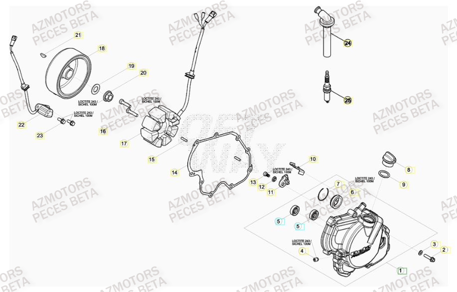 Allumage BETA Pièces BETA RR FACTORY 350cc 4T - [2014]