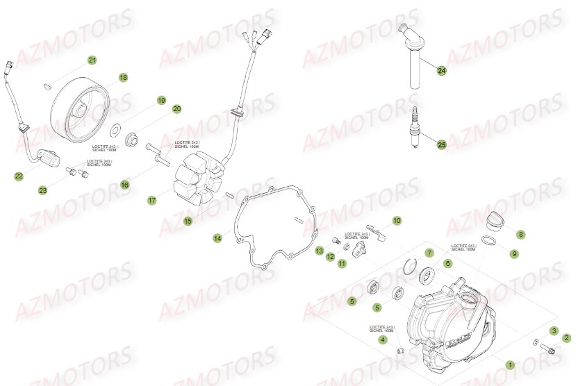 Allumage BETA Pièces BETA RR FACTORY 350 4T -(2015)

