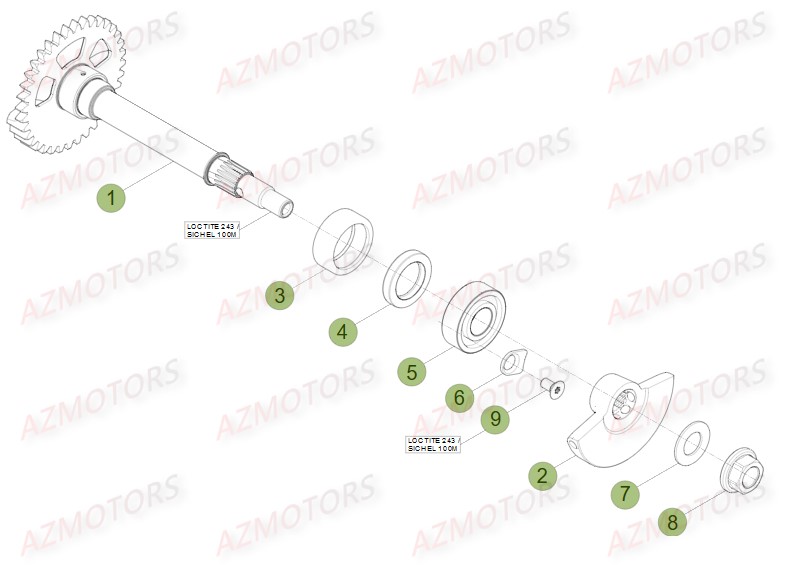 Arbre D Equilibrage BETA Pièces BETA RR FACTORY 350 4T -(2015)

