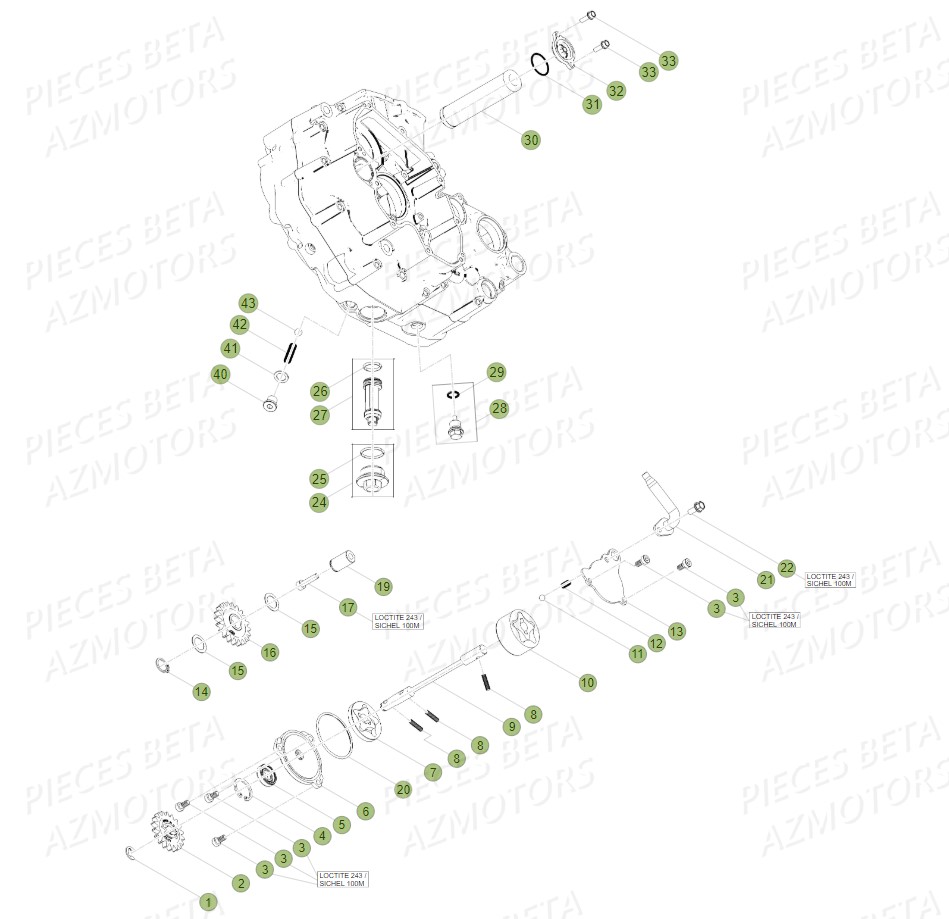 POMPE A HUILE pour 350 RR RACING 17