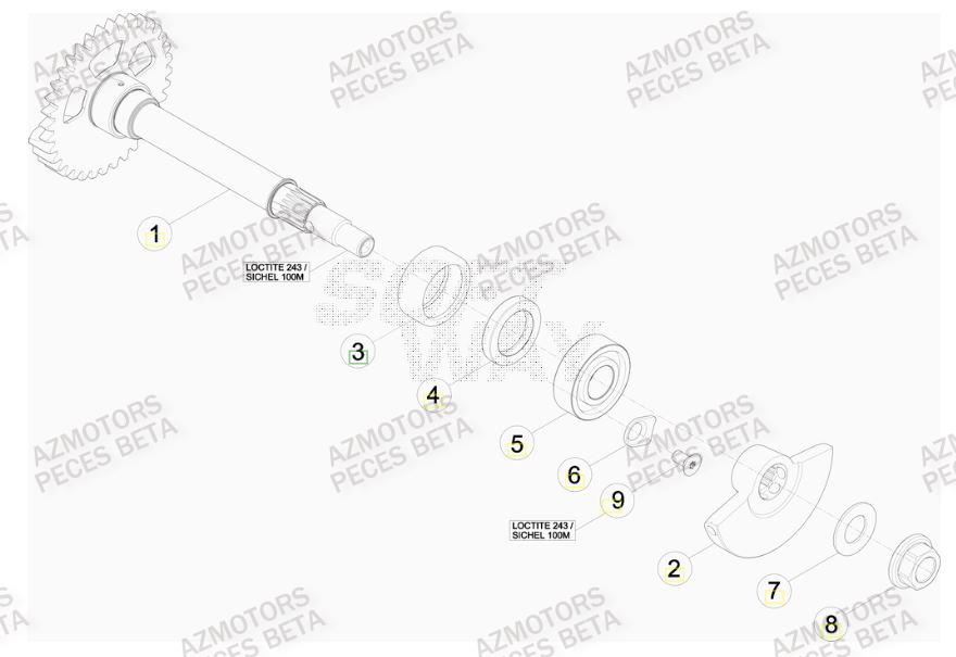 Arbre Equilibrage BETA Pièces BETA RR FACTORY 400cc 4T - [2012]