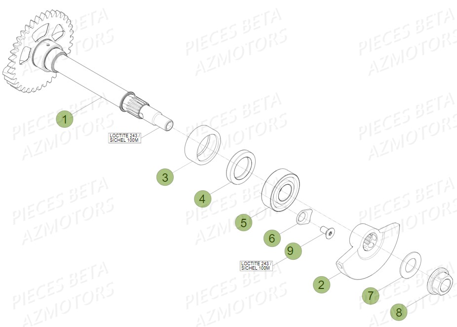 Arbre Equilibrage BETA Pièces BETA RR 4T 430 RACING - (2017)

