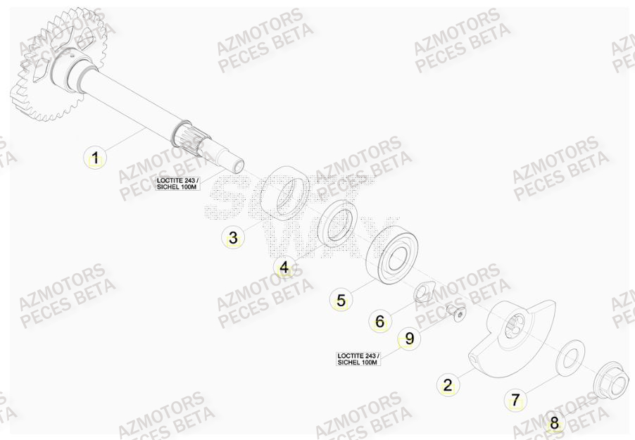 Arbre Equilibrage BETA Pièces BETA RR 4T RACING 480 -(2015)

