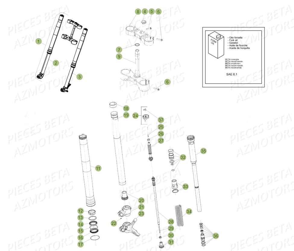 Fourche BETA Pièces BETA RR 4T 480 RACING - (2017)

