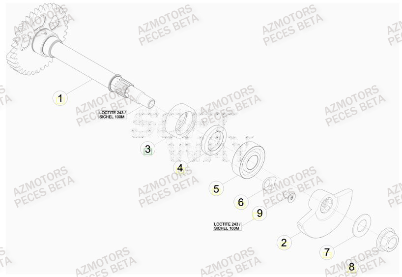 Arbre Equilibrage BETA Pièces BETA RR FACTORY 498cc 4T - [2012]