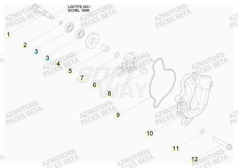 Pompe A Eau BETA Pièces BETA RR FACTORY 498cc 4T - [2012]