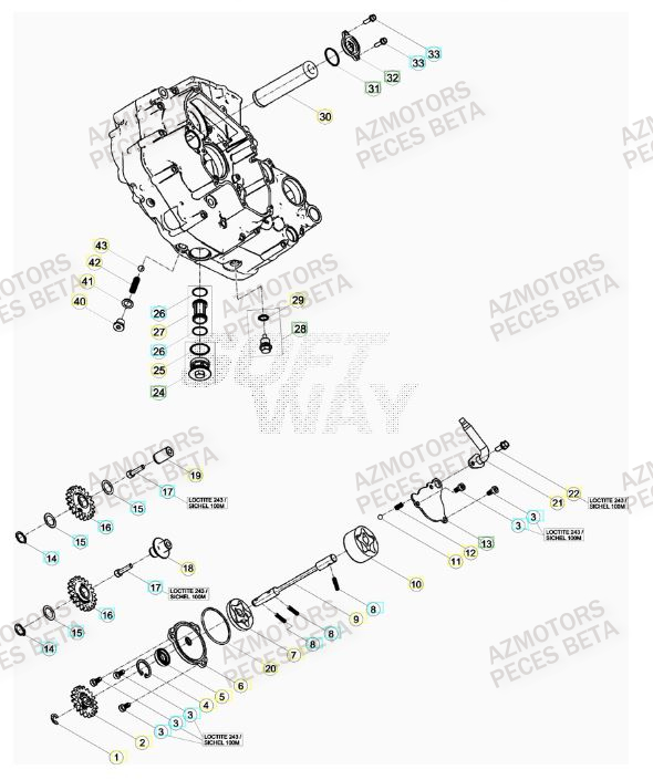 POMPE A HUILE BETA 498 RR FACTORY 12