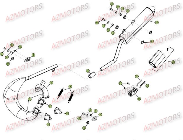 Echappement BETA Pièces Beta RR 50 STANDARD - 2015