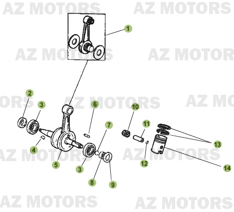 VILEBREQUIN CONTRE ARBRE AZMOTORS 50 SM 08