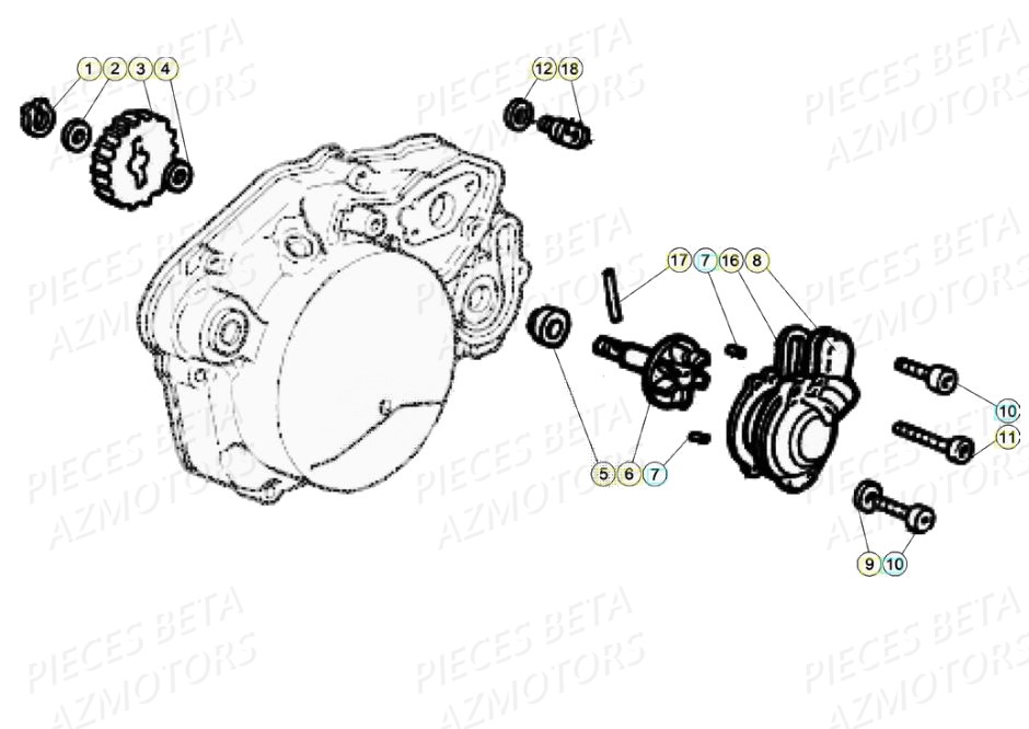 POMPE_A_EAU BETA Pieces Beta 50 RR RACING - 2020 - Pieces Origine Betamotor