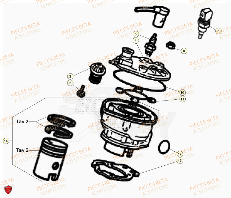 Cylindre BETA Pieces Beta 50 RR RACING - 2023-2024