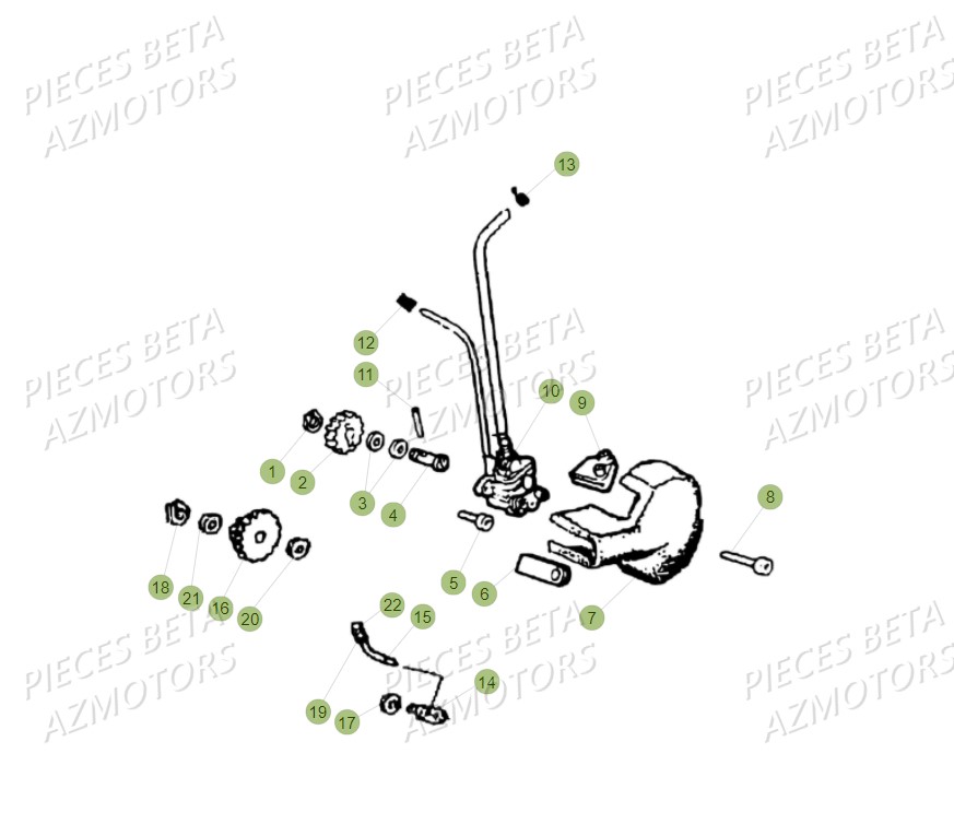 Pompe A Huile BETA Pièces Beta RR 50 STANDARD - 2017