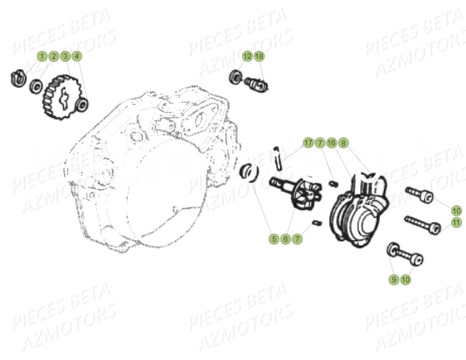 Pompe A Eau BETA Pièces Beta RR 50 STANDARD - 2019