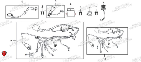 Faisceau Electrique ARCHIVE_MOTORCYCLE PIECE SCRAMBLER 50cc AM84 EURO5 ARCHIVE