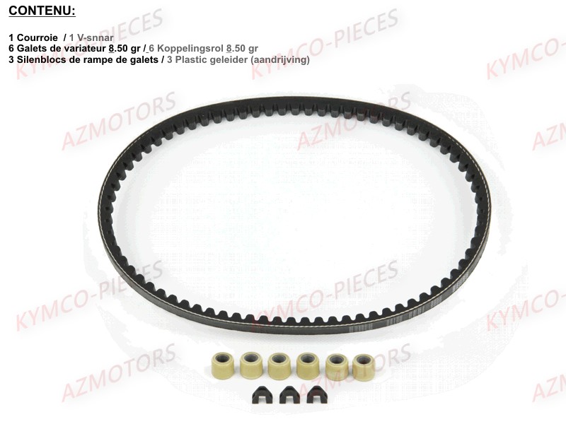 SET ENTRETIEN TRANSMISSION SCOOTER 50 12" 2T pour SET ENTRETIEN TRANSMISSION de AGILITY 50 CITY 16