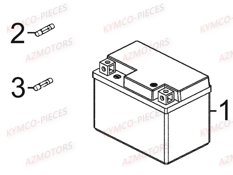 Batterie AZMOTORS 
