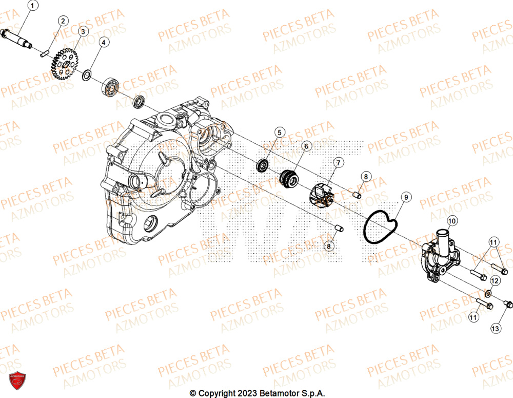 POMPE A EAU BETA ALP X 350 4T 2025
