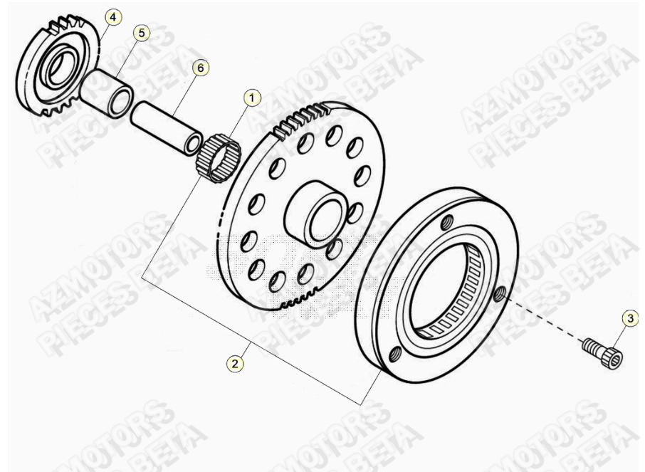 Roue Libre BETA Pièces ALP 200 [2020]